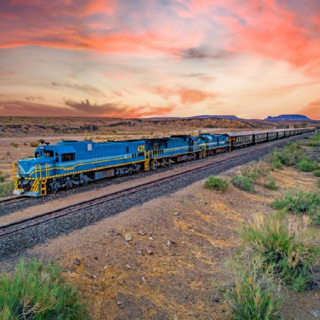 African Explore Train