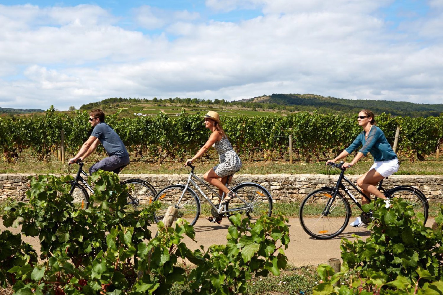 Cycling in vineyards